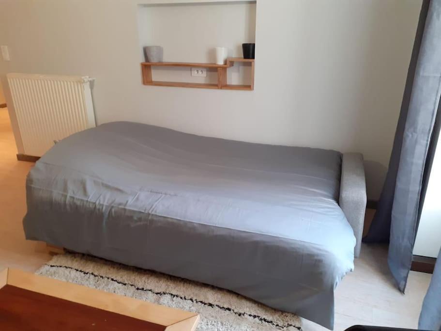 Appartement Hyper-Centre Issoire Bagian luar foto